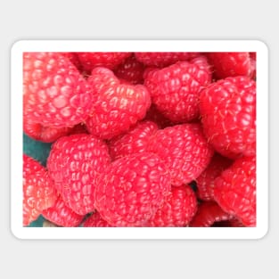 Raspberries Sticker